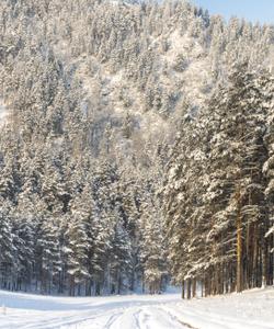 Зимняя экскурсия на Алтай