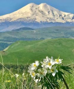 тур на Кавказ