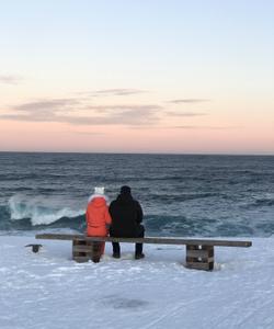 Тур в Териберку на Кольском