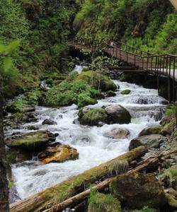 Экотропа Алтай