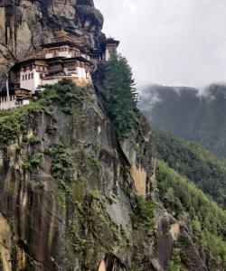 Местные пейзажи