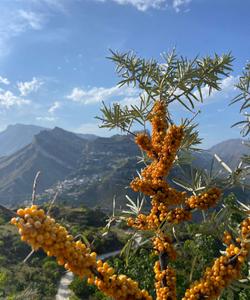 Тур в Дагестан