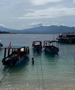 Острова Гили, Индонезия