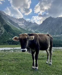 тур в Приэльбрусье