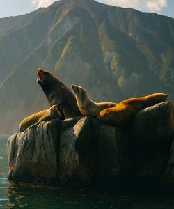 Морской переход по Берингову морю