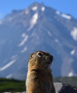 Тур на Камчатку