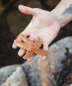 Тур на Соловки