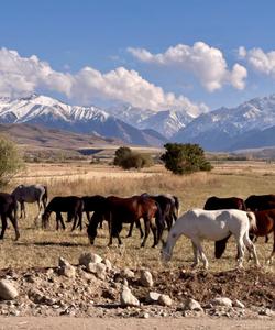 Горы в Киргизии