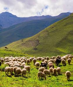 Горы Дагестана