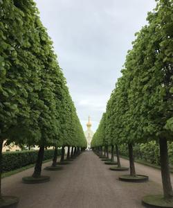 Петергоф