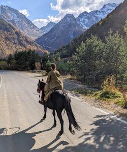 Конная прогулка, Алтай