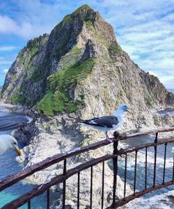 Местный пейзаж