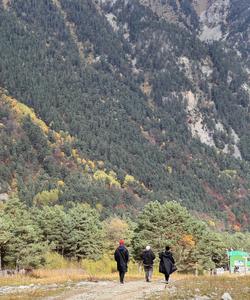 Цейское ущелье