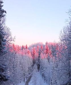 Тур по Архангельской области