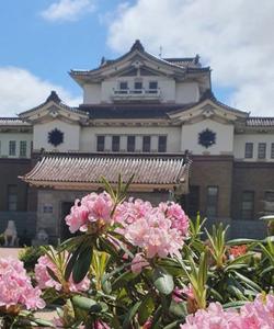 Сахалинский Областной Краеведческий Музей