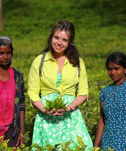 Чайная плантация на Шри-Ланке