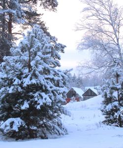 Рязанская область