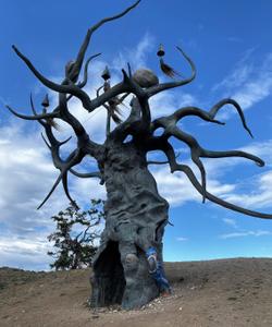 Местный пейзаж