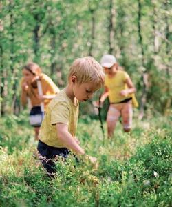 Семейный лагерь в Карелии