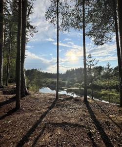 Сплав по реке