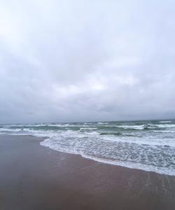 Куршская коса 