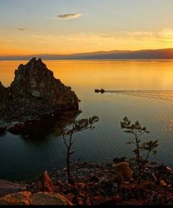 Местный пейзаж