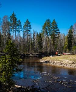 весенний поход в Марий Эл