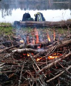 Прогулка в лесу Лемболово