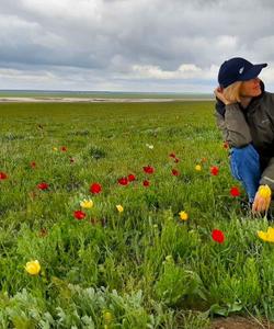 Цветущие степи Калмыкии