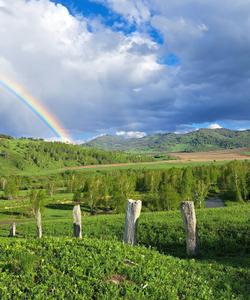 Царский курган, Алтай