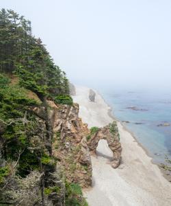 мысы Птичий и Великан