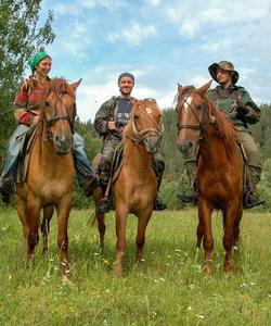 Конные прогулки