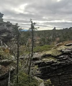 Помянённый камень на севере Пермского края