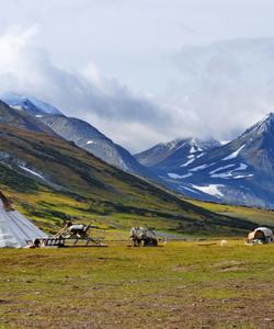 природа Ямала