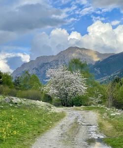 Местные пейзажи