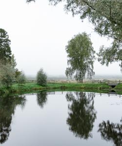 Пушкинские Горы