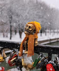 Калининградский хомлин