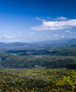 Местные пейзажи