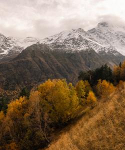 Тур на Кавказ