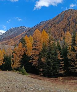 Осенний тур на Алтай