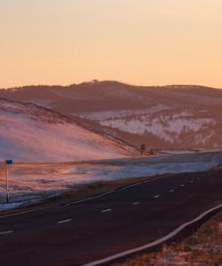 Местный пейзаж