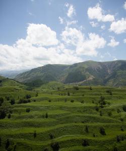 Местный пейзаж