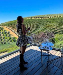 Винный регион — Стелленбош