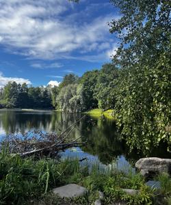 Природный пейзаж