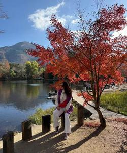 Тур в Японию