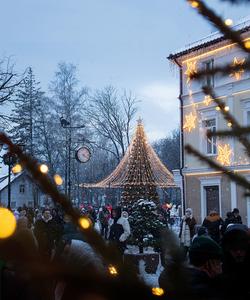 Экскурсия по Зеленоградску