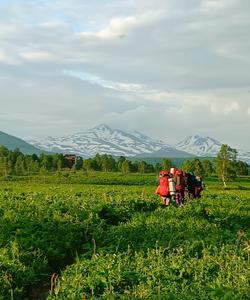 Природный парк «Налычево»
