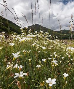 Тур в Архыз