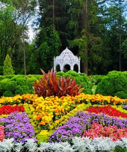 Центральный ботанический сад Белоруссии