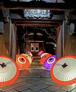 Тур в Японию